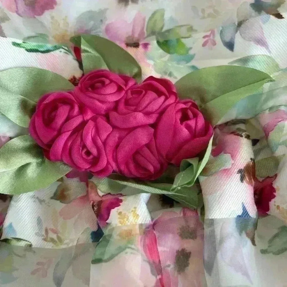 2 Dress’s size 12 months,new tags #1one pink/ Mint rare edition#2 Bonnie baby - Picture 9 of 10